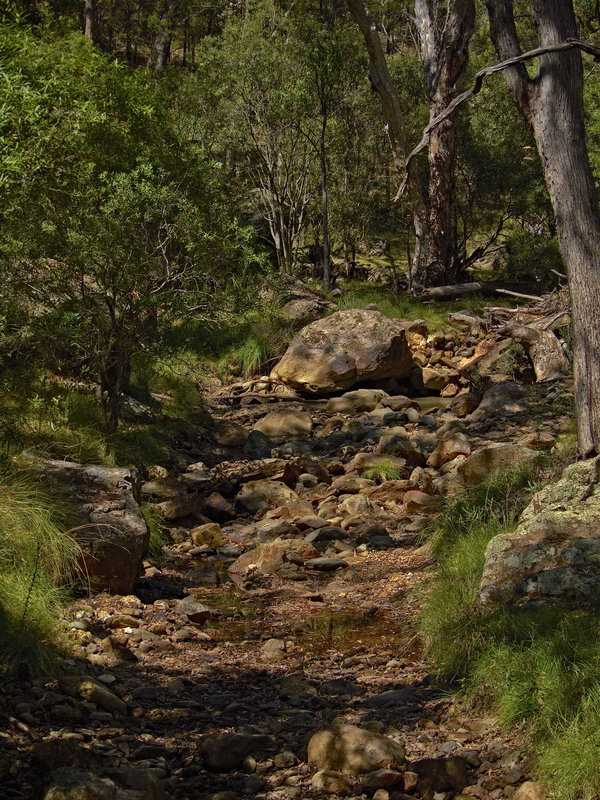 Warrumbungle